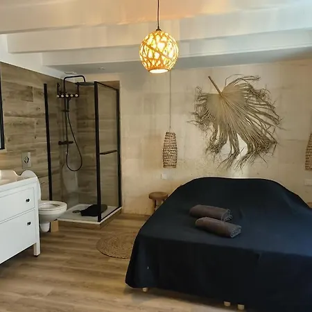 Mon Voisin Ghog Centre Arles